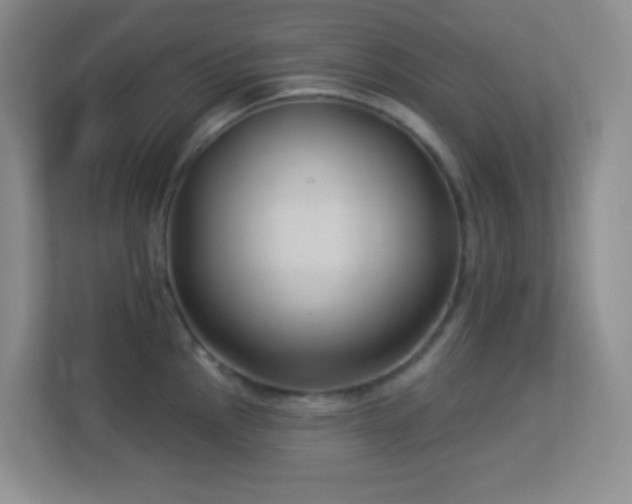 X0000113901145200909241432