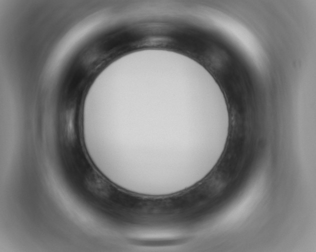 X0000113901150200909241432