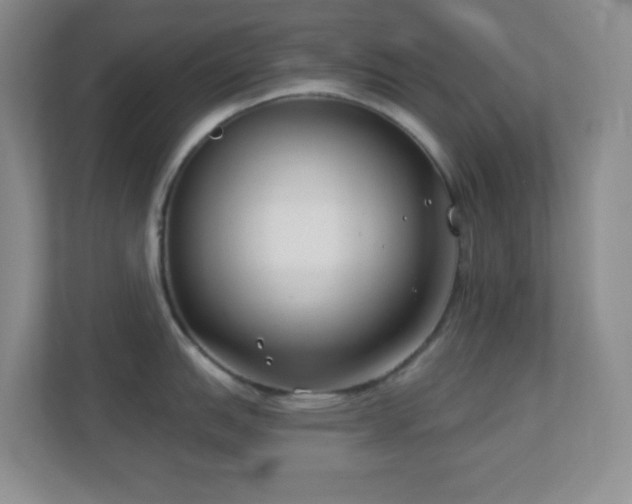 X0000113901151200909241432