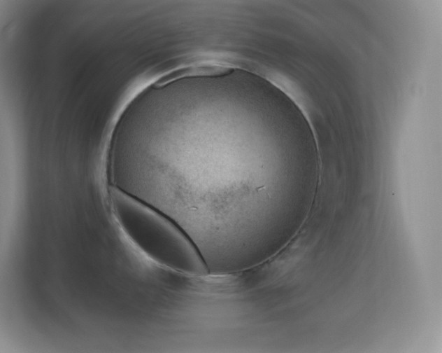 X0000113901152200909241432