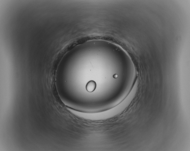 X0000113901157200909241431