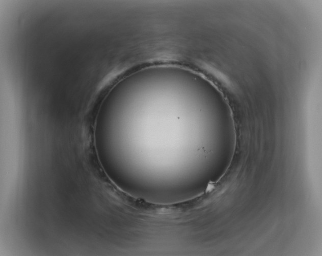 X0000113901160200909241431