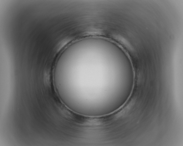 X0000113901162200909241431