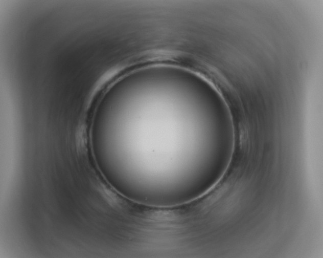 X0000113901164200909241431