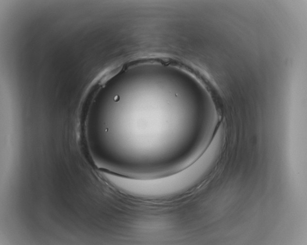X0000113901165200909241431