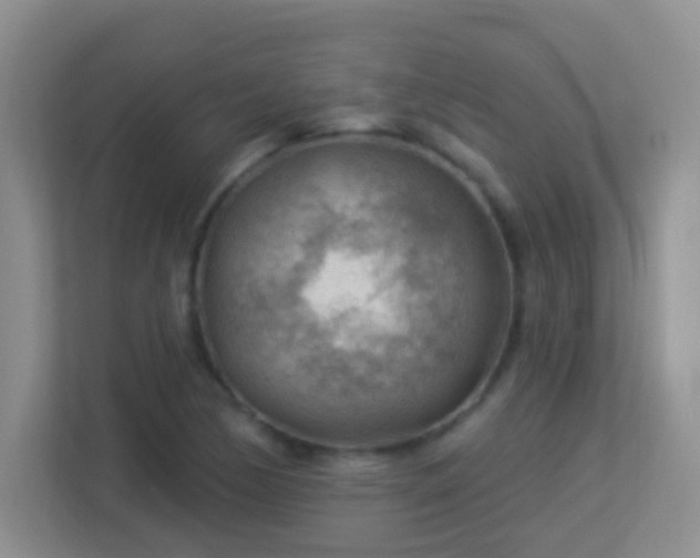 X0000113901170200909241431