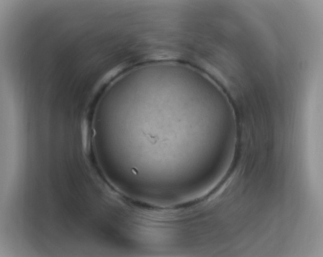 X0000113901171200909241431