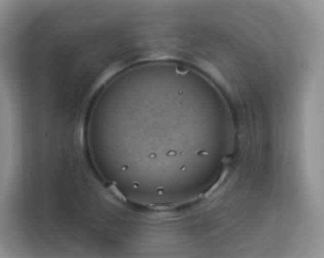 X0000113901173200909241431
