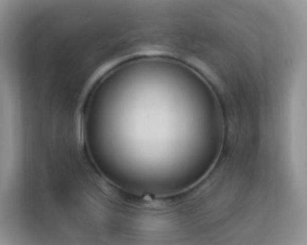 X0000113901175200909241431