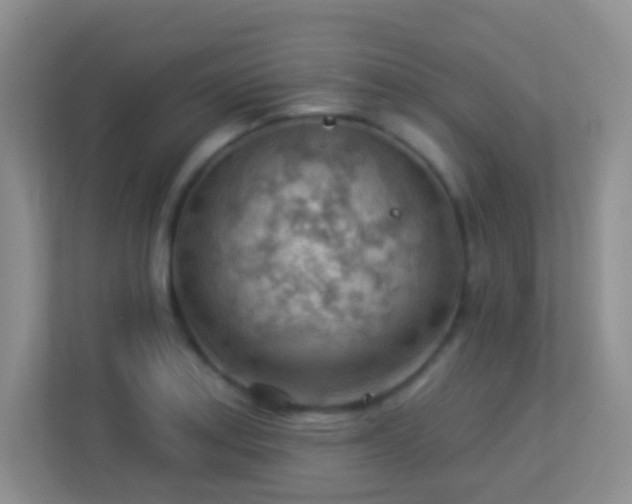 X0000113901179200909241431