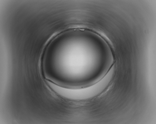 X0000113901181200909241431