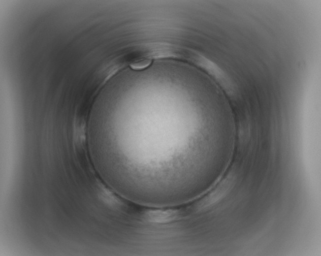 X0000113901185200909241431