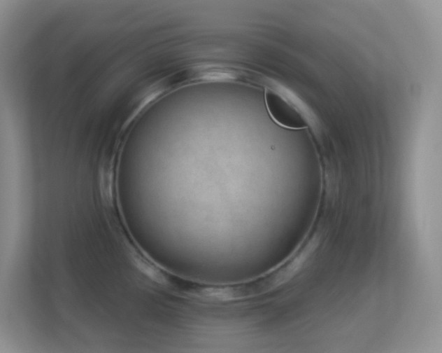 X0000113901194200909241431