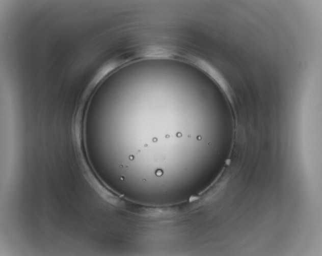 X0000113901195200909241431