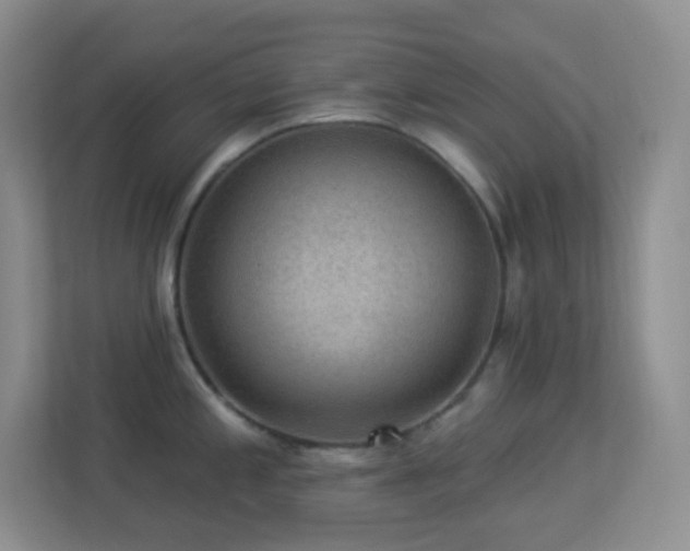 X0000113901197200909241431