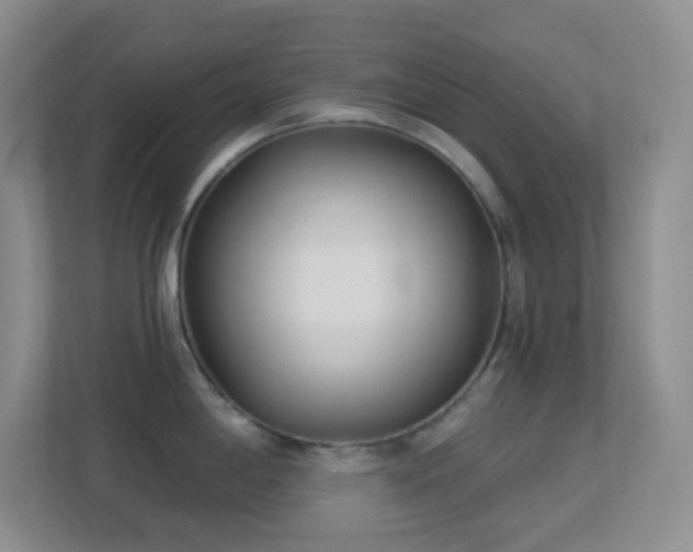 X0000113901198200909241431