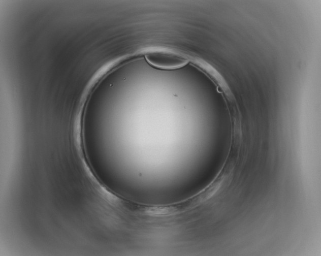 X0000113901199200909241431