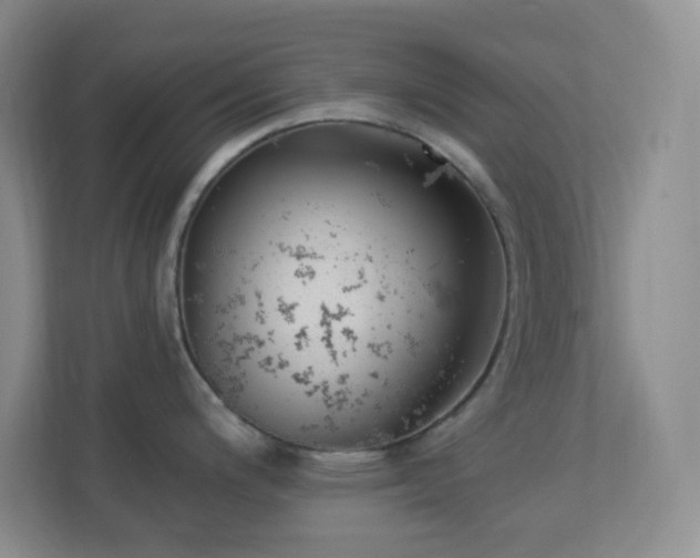 X0000113901200200909241431