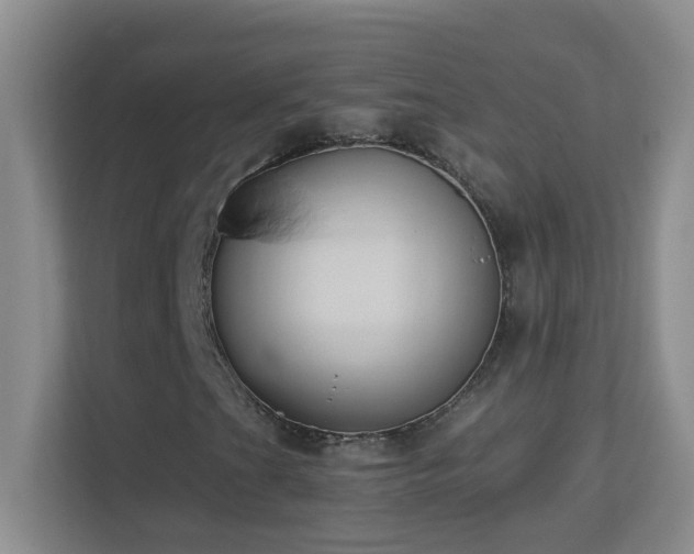 X0000113901201200909241430