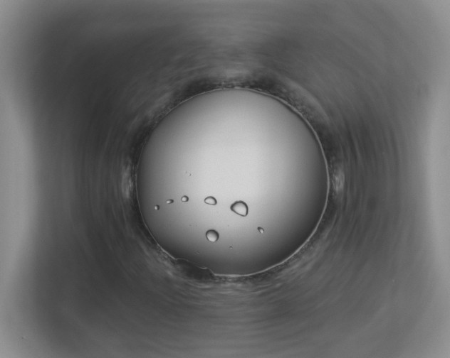 X0000113901204200909241430