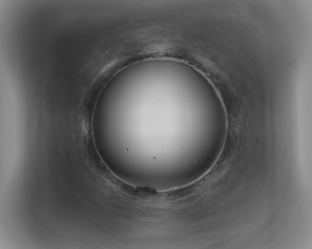 X0000113901206200909241430