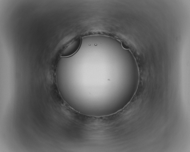 X0000113901207200909241430