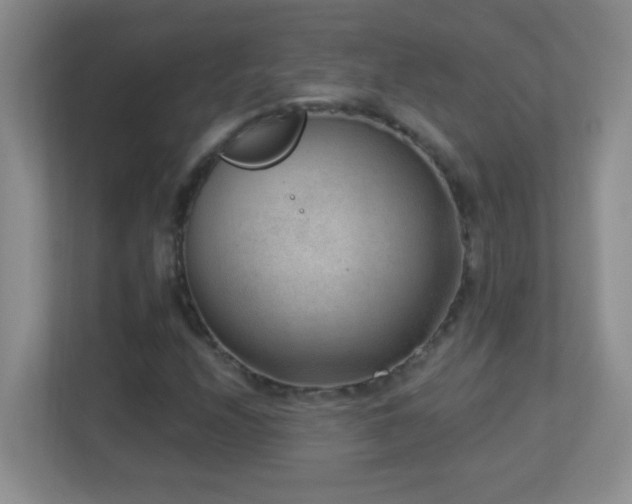 X0000113901208200909241430