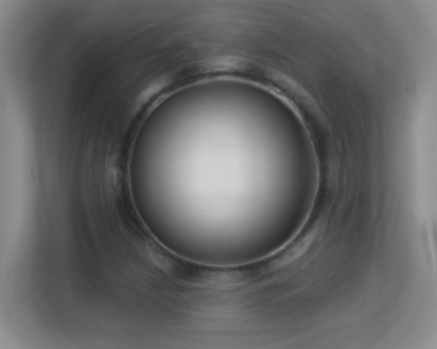 X0000113901210200909241430