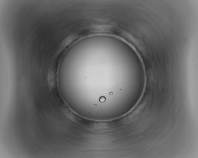 X0000113901211200909241430