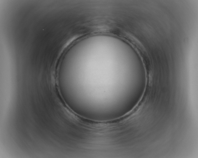 X0000113901212200909241430