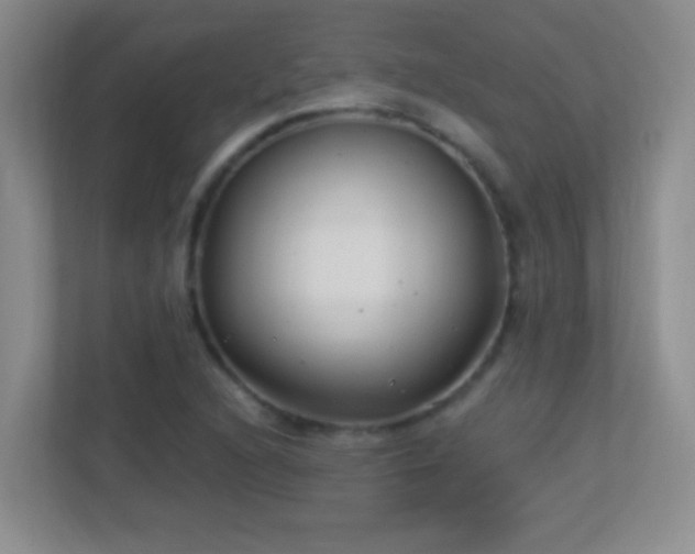X0000113901216200909241430