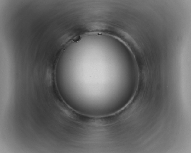 X0000113901217200909241430