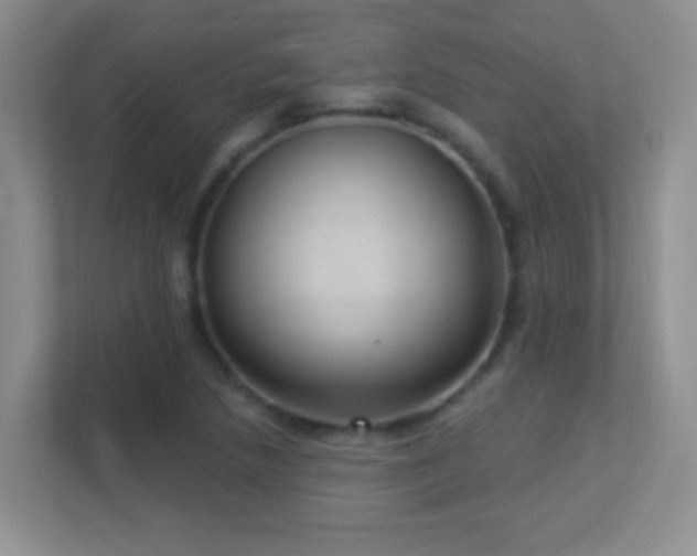 X0000113901218200909241430