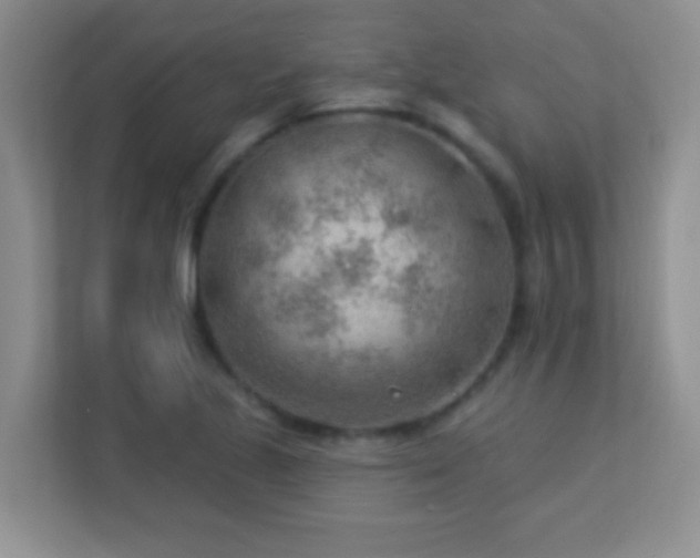 X0000113901221200909241431