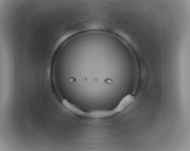 X0000113901222200909241431