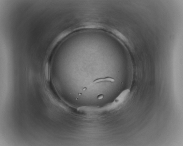 X0000113901223200909241431