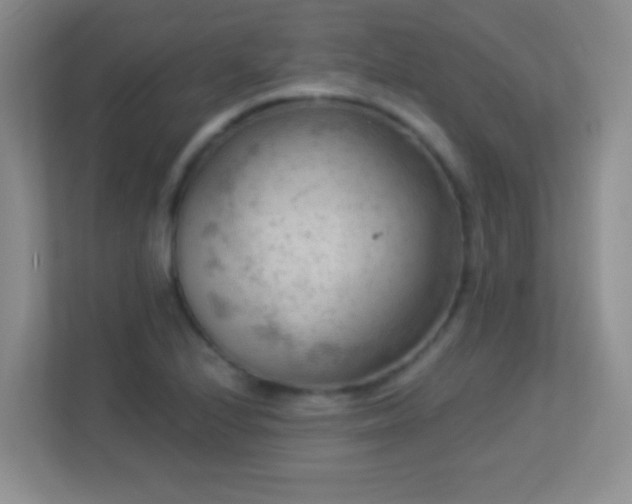 X0000113901224200909241431