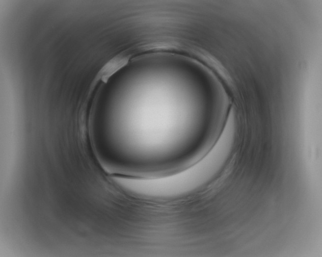 X0000113901226200909241431