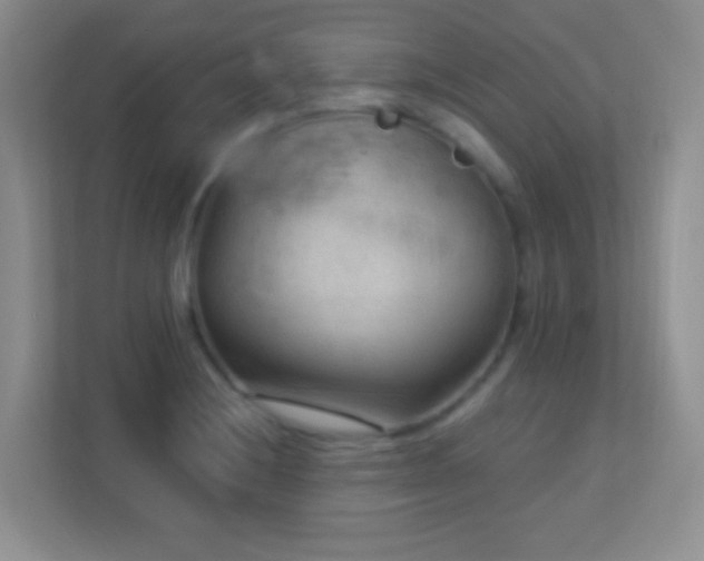 X0000113901228200909241431
