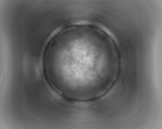X0000113901229200909241431
