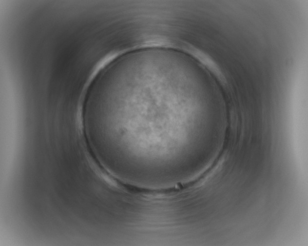 X0000113901230200909241431