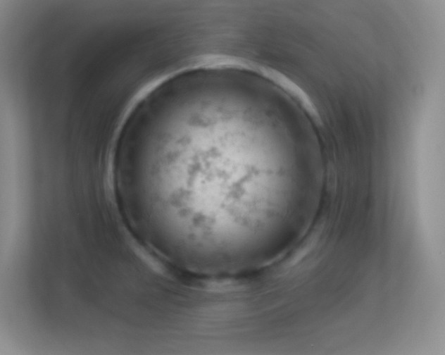 X0000113901231200909241431