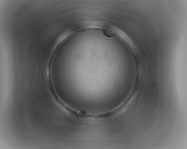 X0000113901234200909241431