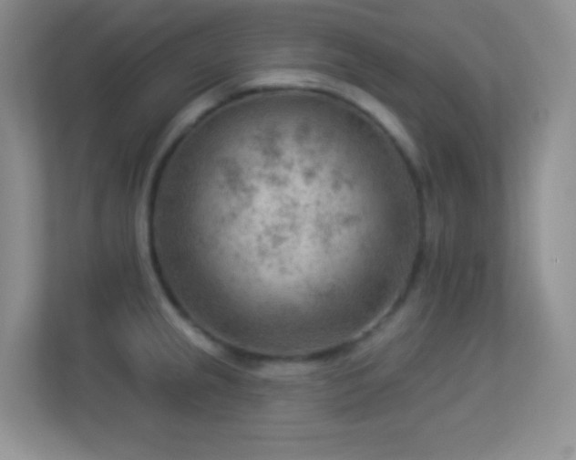 X0000113901237200909241431