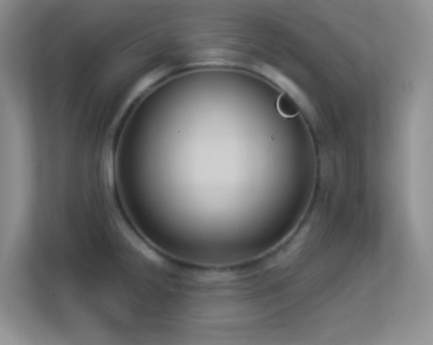 X0000113901238200909241431