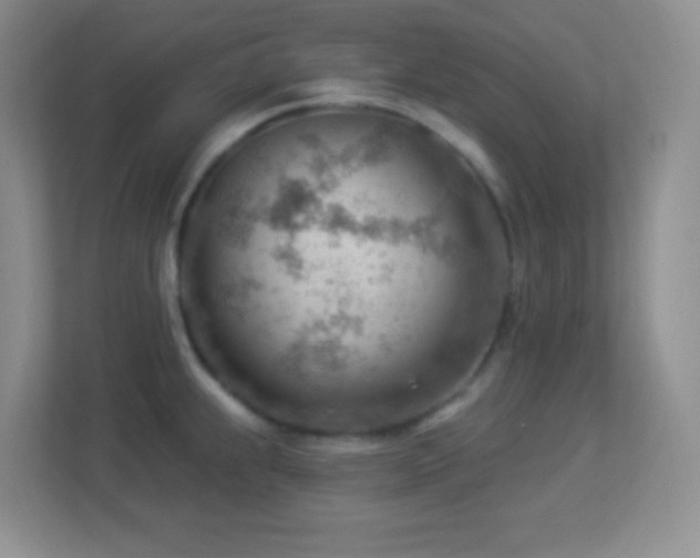 X0000113901239200909241431