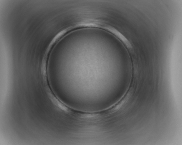 X0000113901240200909241431