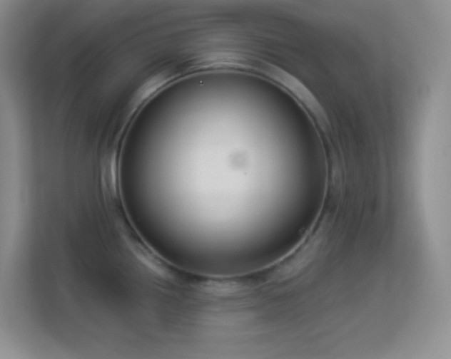 X0000113901242200909241431