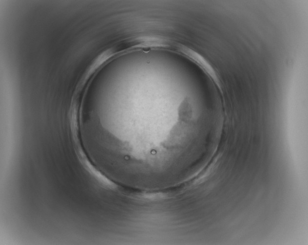 X0000113901243200909241431