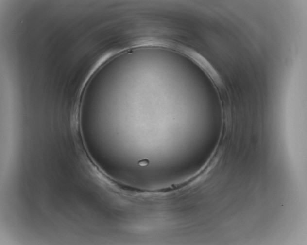X0000113901244200909241431